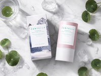 Masque Stick Centella Poremizing — Argile Purifiant